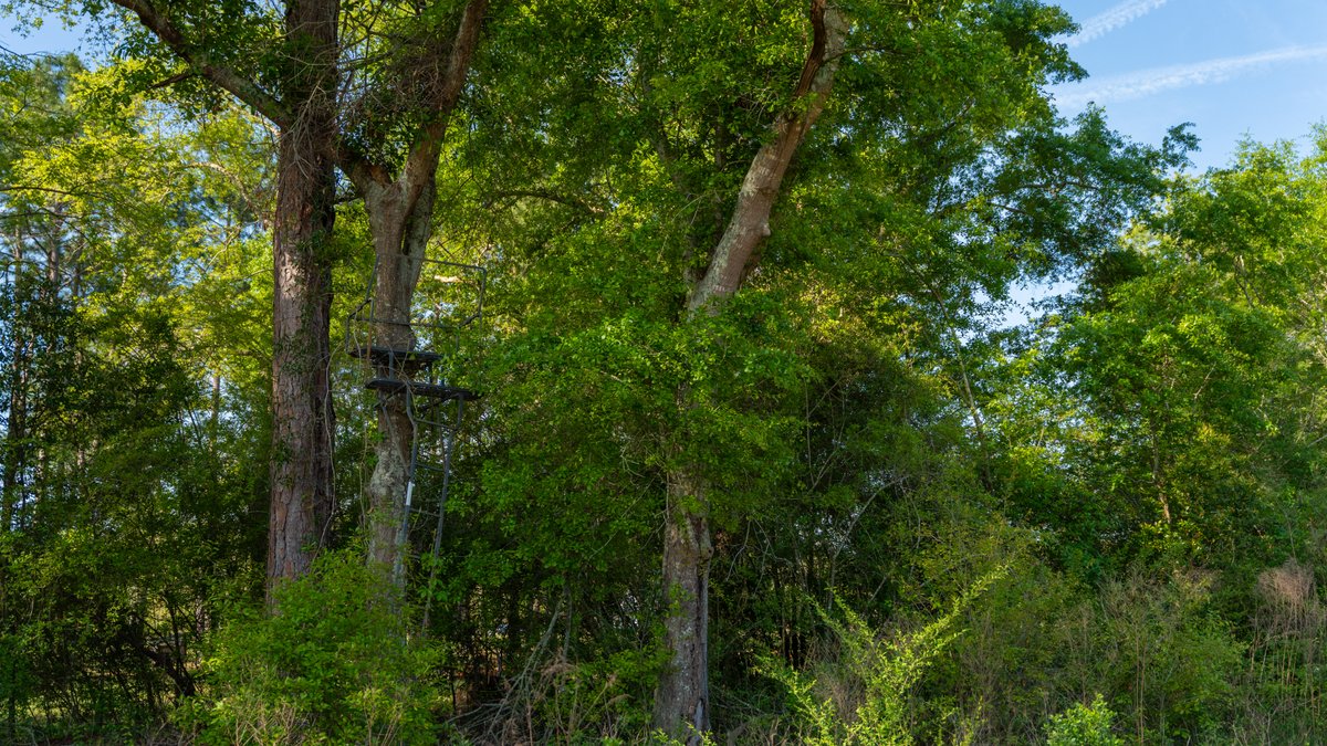 Image for 118+/- Acres - Fowl Hill Farms - Mixed Use Recreational Property w/ Row Crop Farmland