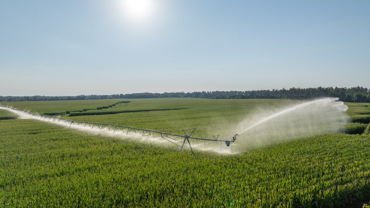 Image for 481+/- Acres - The John B. Wight Trust - Irrigated Row Crop Farm