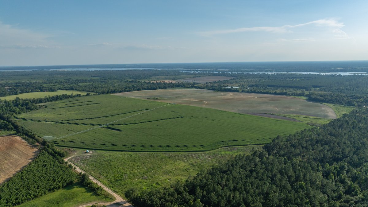 Image for 481+/- Acres - The John B. Wight Trust - Irrigated Row Crop Farm