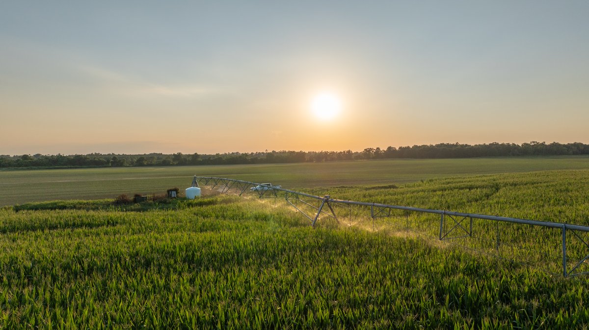 Image for 481+/- Acres - The John B. Wight Trust - Irrigated Row Crop Farm