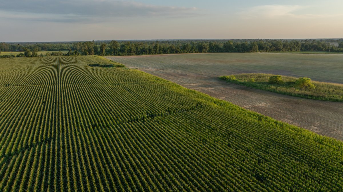 Image for 481+/- Acres - The John B. Wight Trust - Irrigated Row Crop Farm