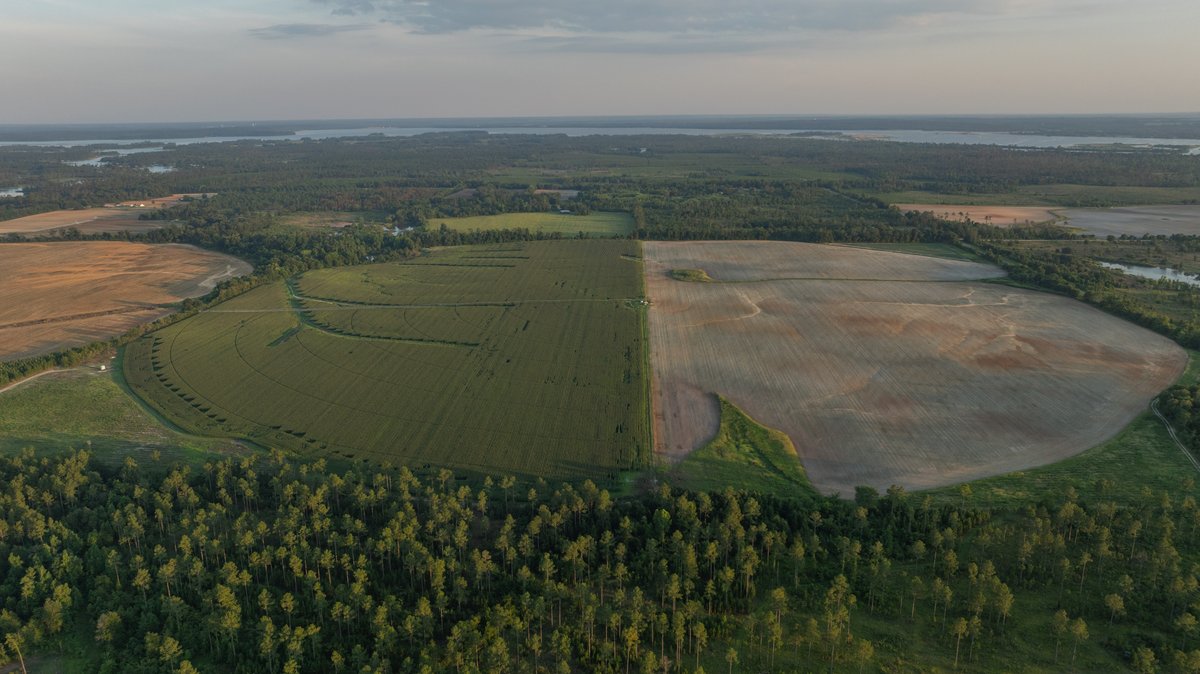 Image for 481+/- Acres - The John B. Wight Trust - Irrigated Row Crop Farm