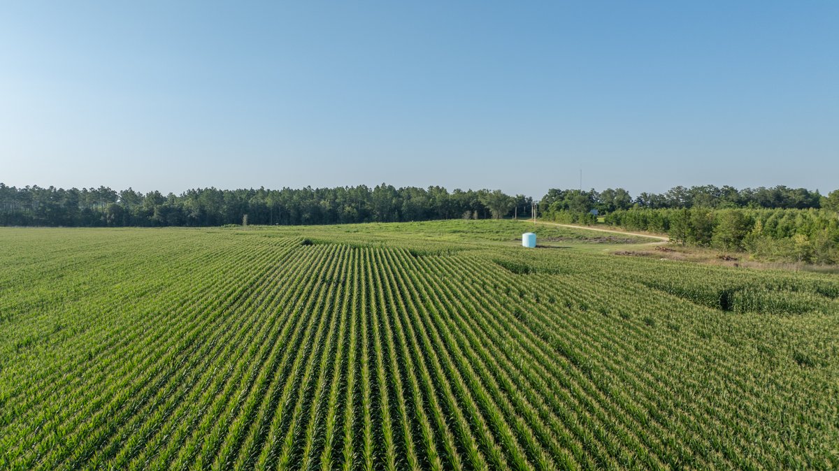 Image for 481+/- Acres - The John B. Wight Trust - Irrigated Row Crop Farm