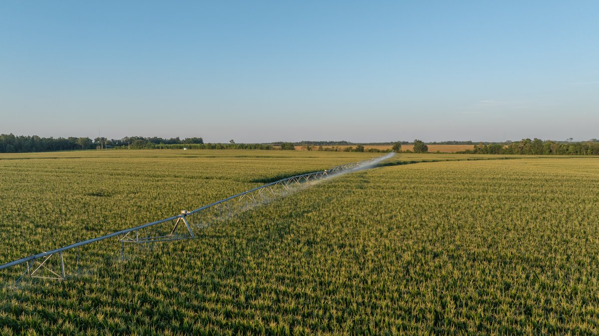 Image for 481+/- Acres - The John B. Wight Trust - Irrigated Row Crop Farm