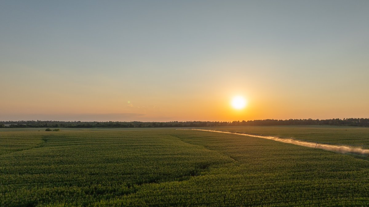 Image for 481+/- Acres - The John B. Wight Trust - Irrigated Row Crop Farm