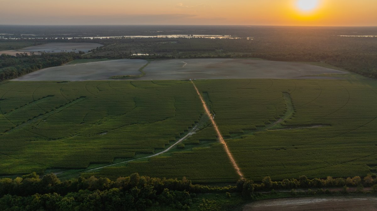 Image for 481+/- Acres - The John B. Wight Trust - Irrigated Row Crop Farm