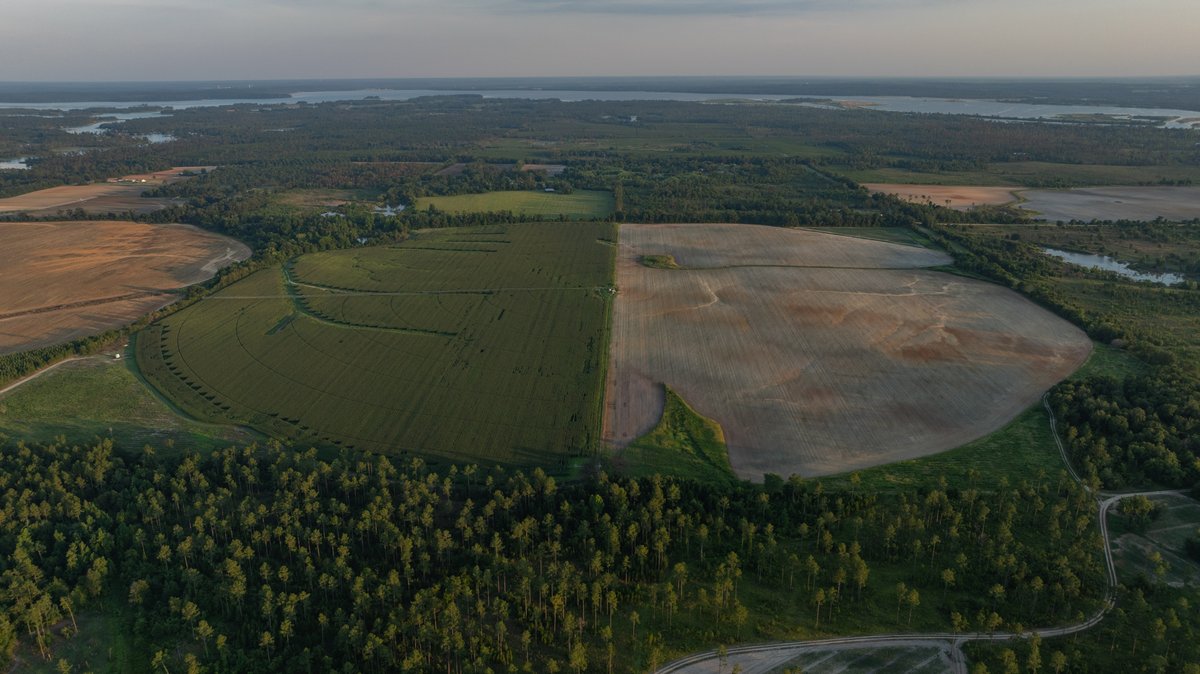 Image for 481+/- Acres - The John B. Wight Trust - Irrigated Row Crop Farm