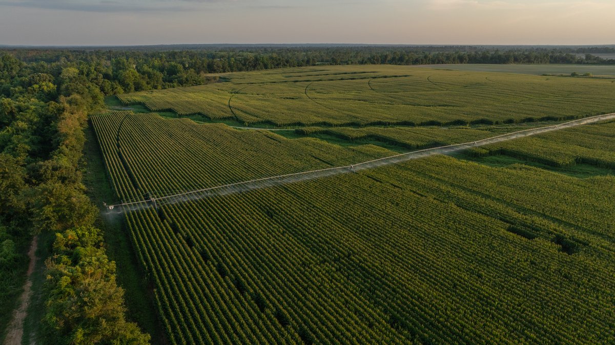 Image for 481+/- Acres - The John B. Wight Trust - Irrigated Row Crop Farm