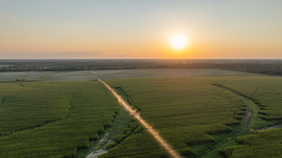 Image for 481+/- Acres - The John B. Wight Trust - Irrigated Row Crop Farm