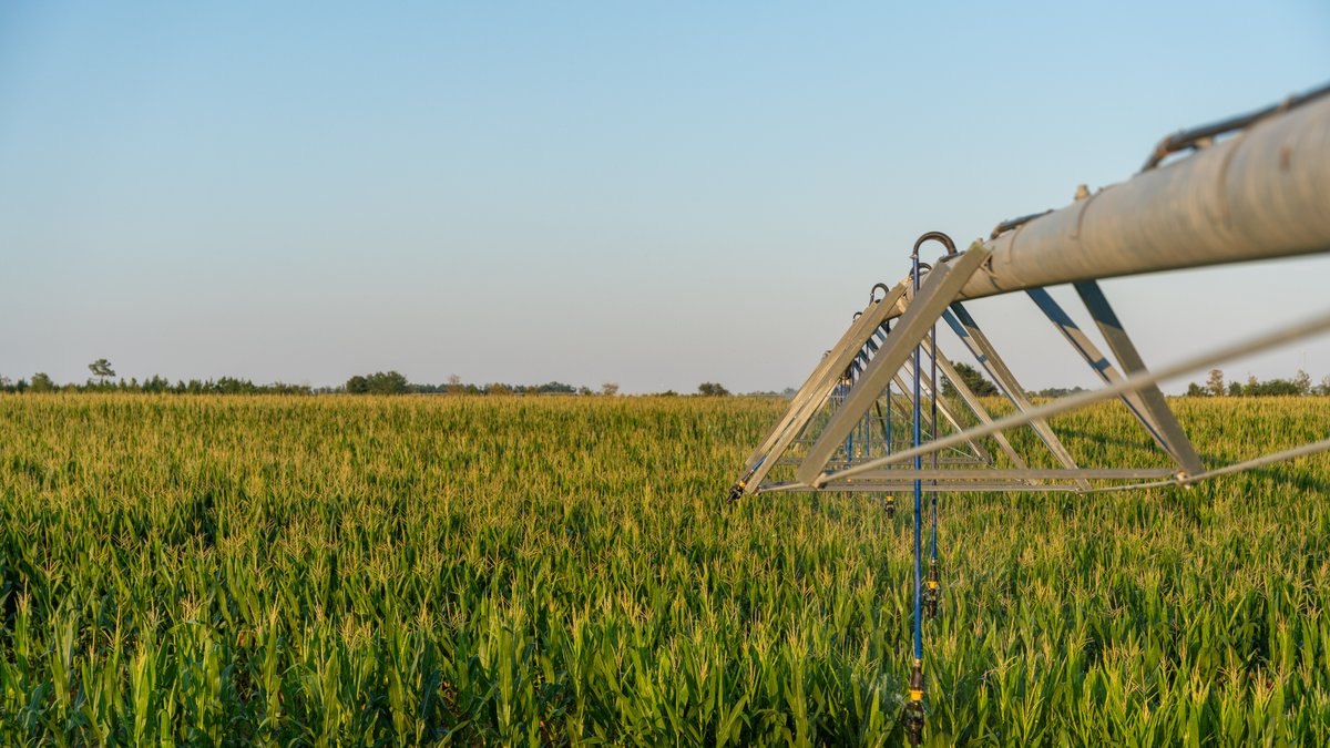Image for 481+/- Acres - The John B. Wight Trust - Irrigated Row Crop Farm