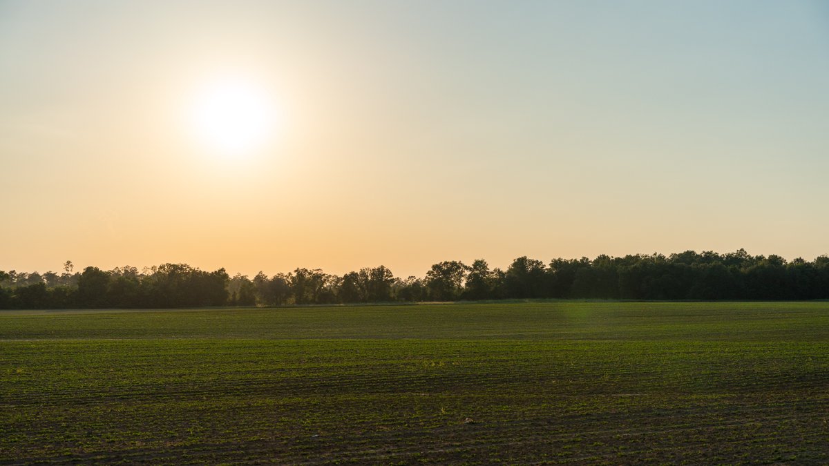 Image for 481+/- Acres - The John B. Wight Trust - Irrigated Row Crop Farm