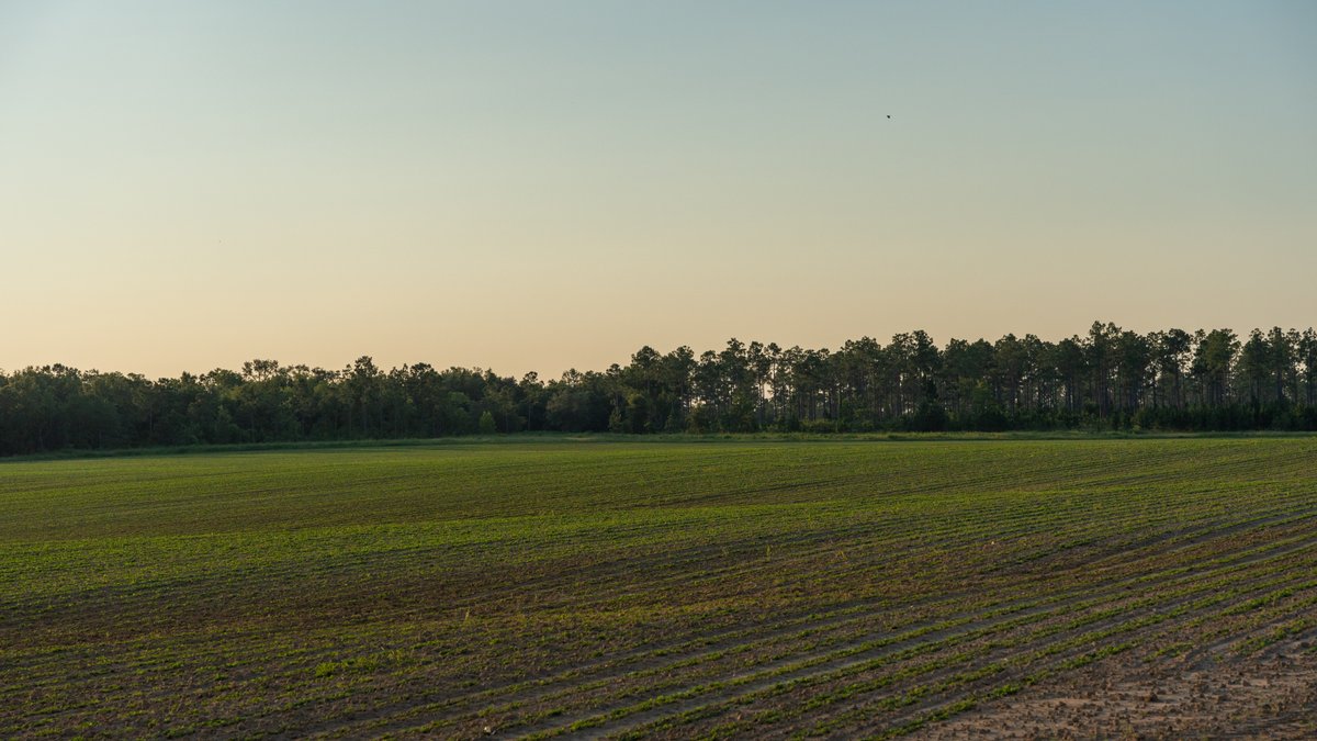 Image for 481+/- Acres - The John B. Wight Trust - Irrigated Row Crop Farm