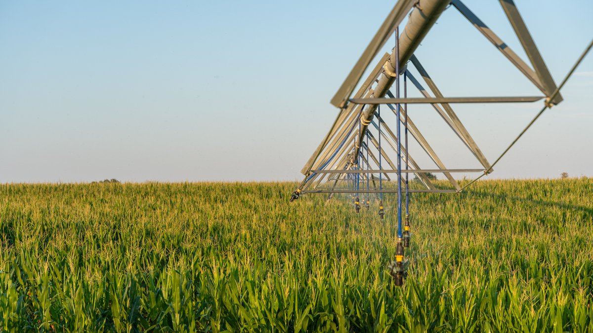 Image for 481+/- Acres - The John B. Wight Trust - Irrigated Row Crop Farm