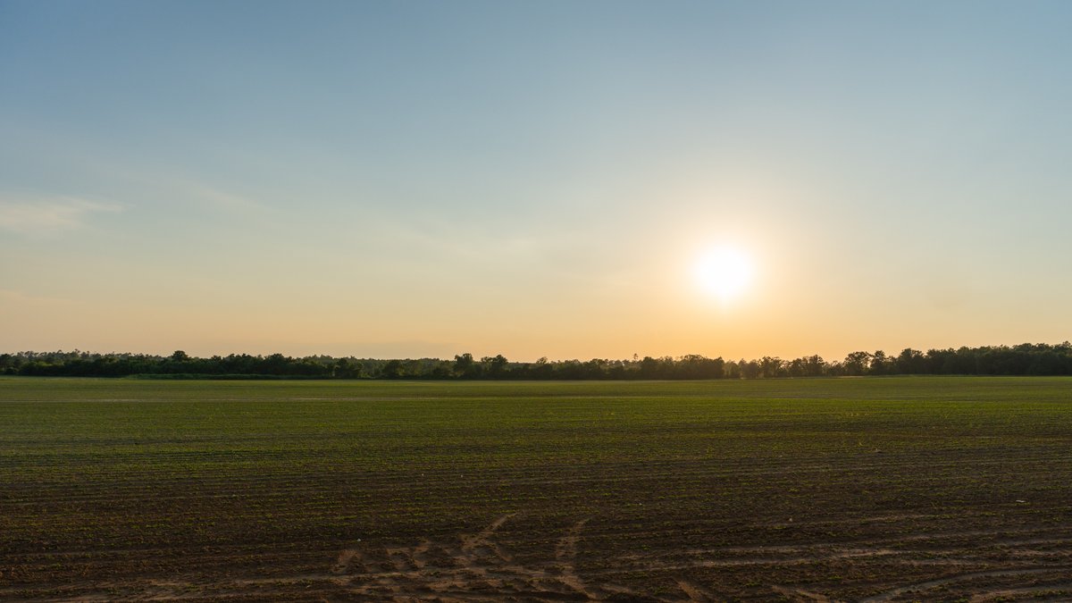 Image for 481+/- Acres - The John B. Wight Trust - Irrigated Row Crop Farm