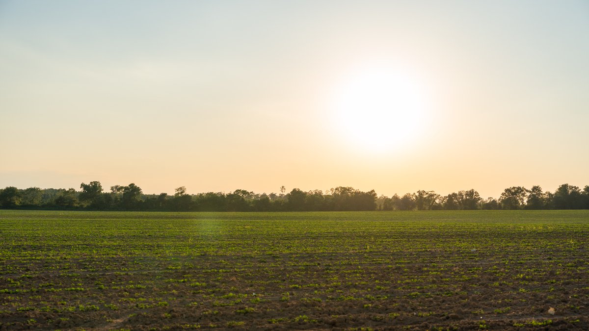Image for 481+/- Acres - The John B. Wight Trust - Irrigated Row Crop Farm