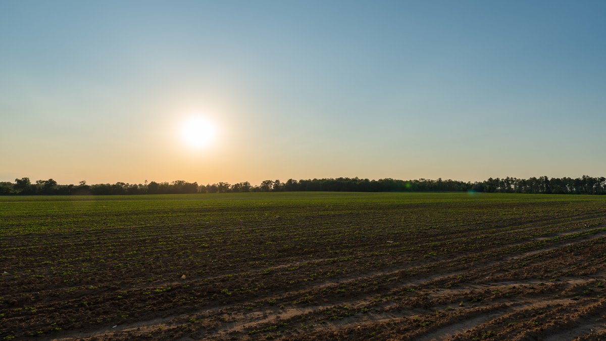 Image for 481+/- Acres - The John B. Wight Trust - Irrigated Row Crop Farm