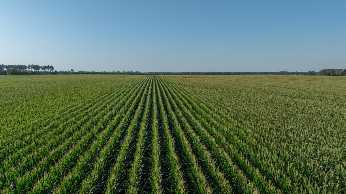 Image for 481+/- Acres - The John B. Wight Trust - Irrigated Row Crop Farm
