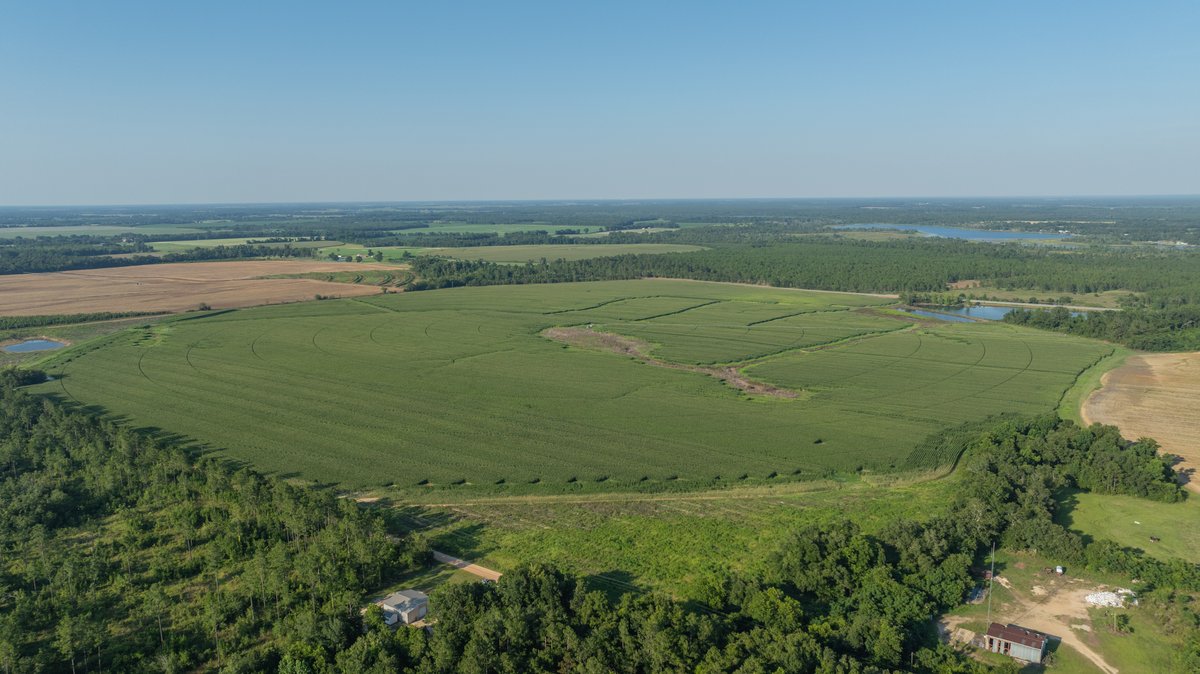 Image for 481+/- Acres - The John B. Wight Trust - Irrigated Row Crop Farm