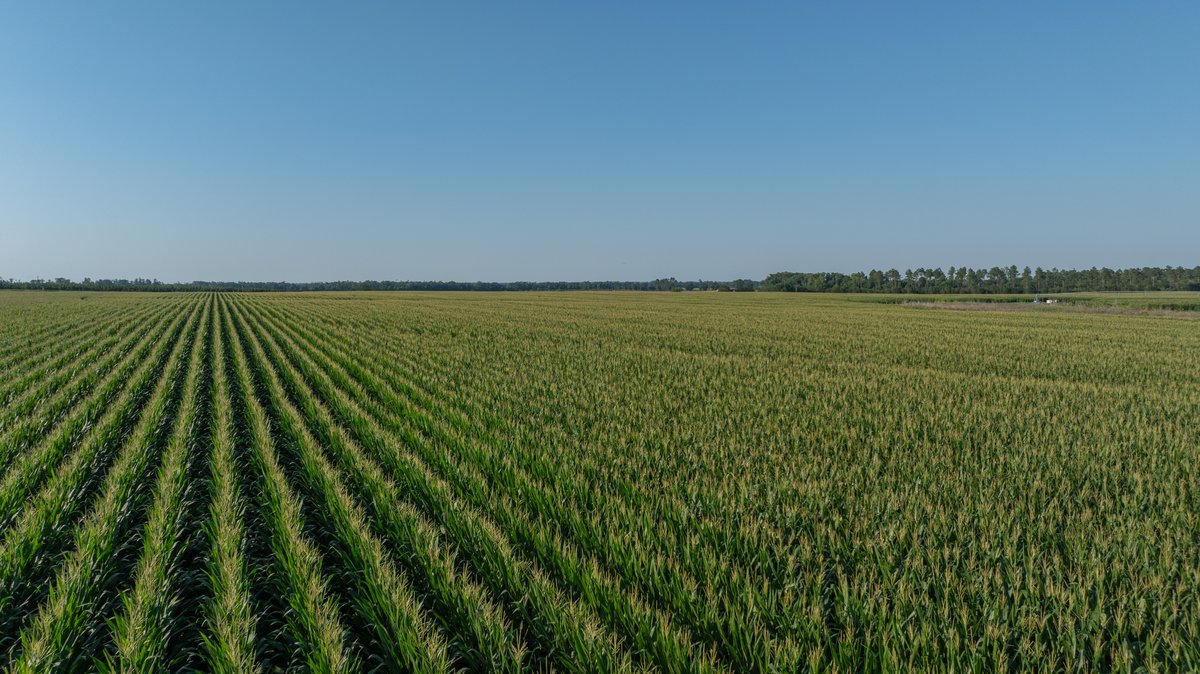 Image for 481+/- Acres - The John B. Wight Trust - Irrigated Row Crop Farm