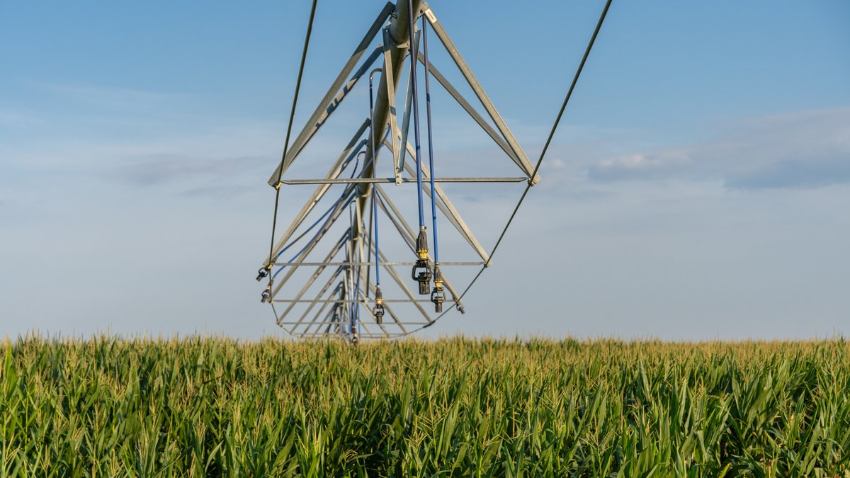 Image for 481+/- Acres - The John B. Wight Trust - Irrigated Row Crop Farm