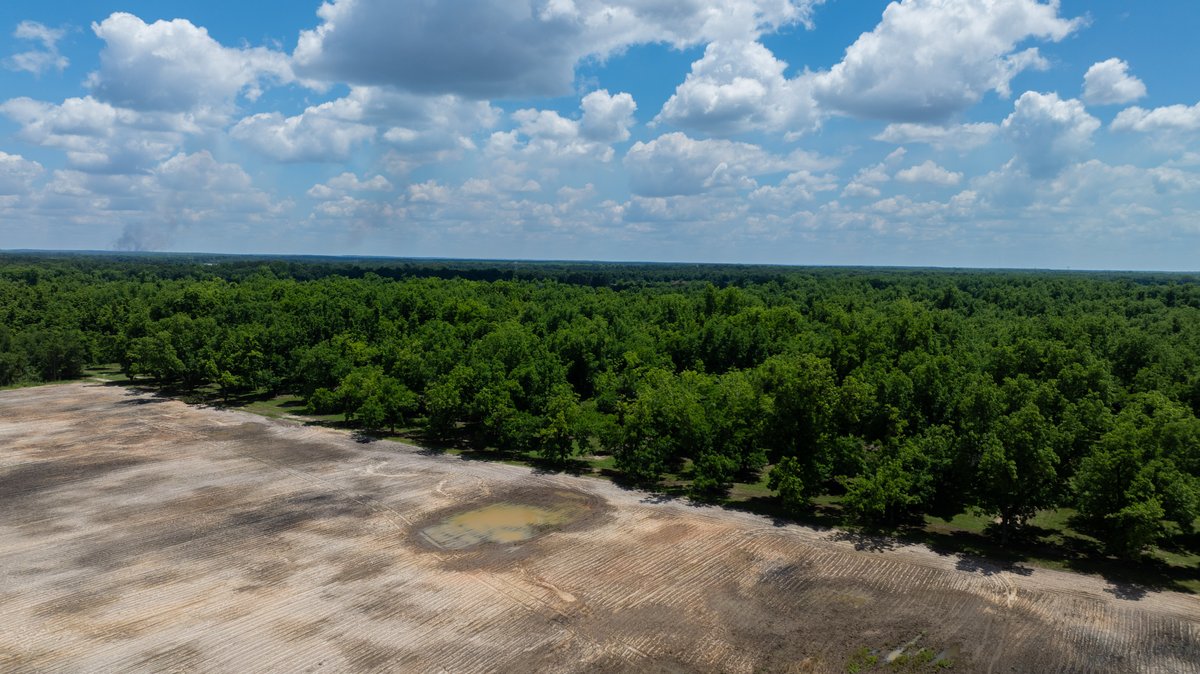 Image for 80.78+/- Acres - Turn-Key Pecan Operation w/ Row Crop Farmland