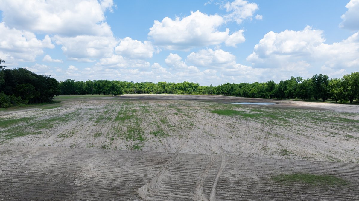 Image for 80.78+/- Acres - Turn-Key Pecan Operation w/ Row Crop Farmland