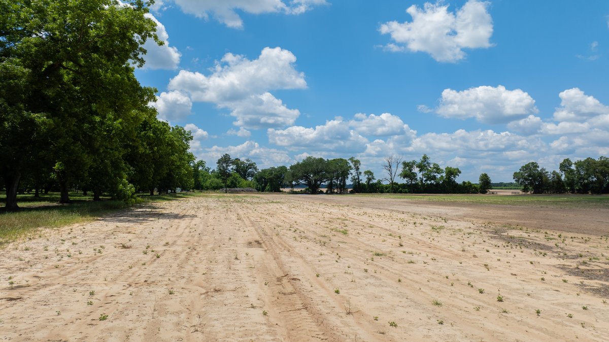 Image for 80.78+/- Acres - Turn-Key Pecan Operation w/ Row Crop Farmland