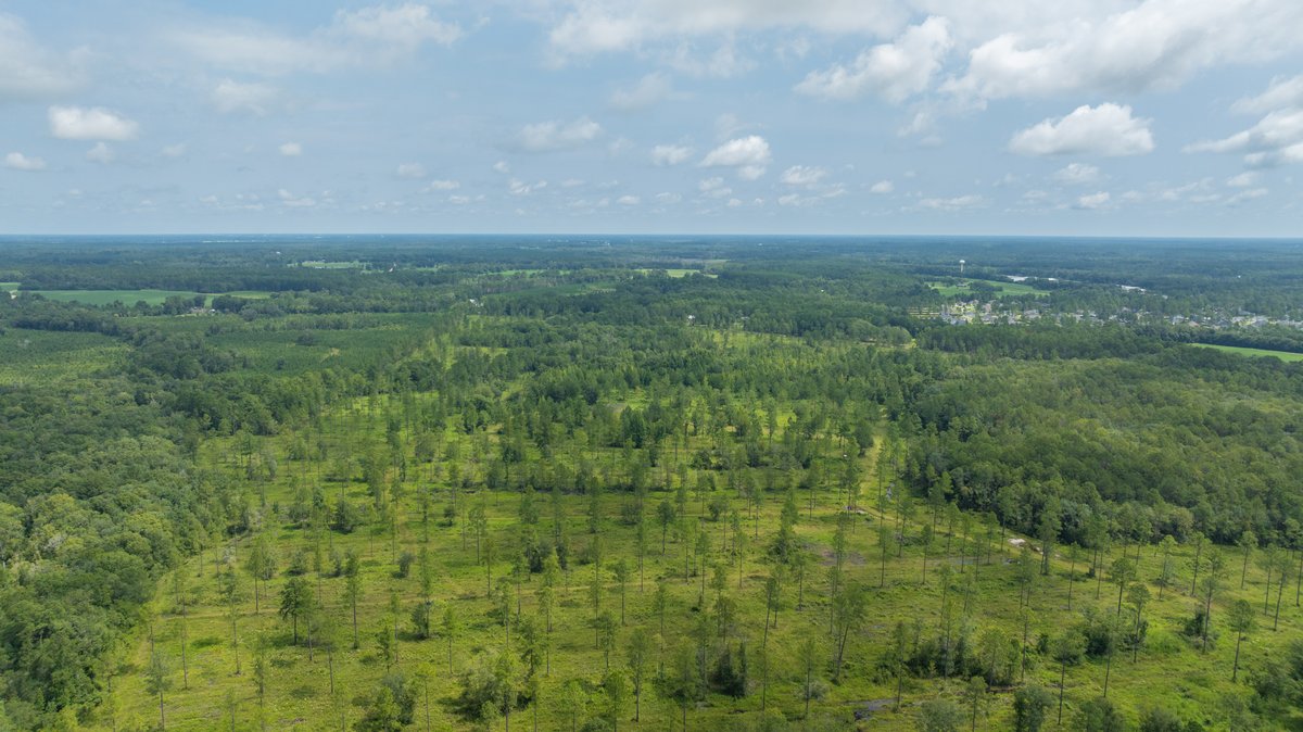 Image for 207+/- Acres in Lowndes County - Tremendous Development Potential