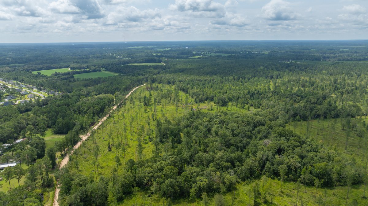 Image for 207+/- Acres in Lowndes County - Tremendous Development Potential