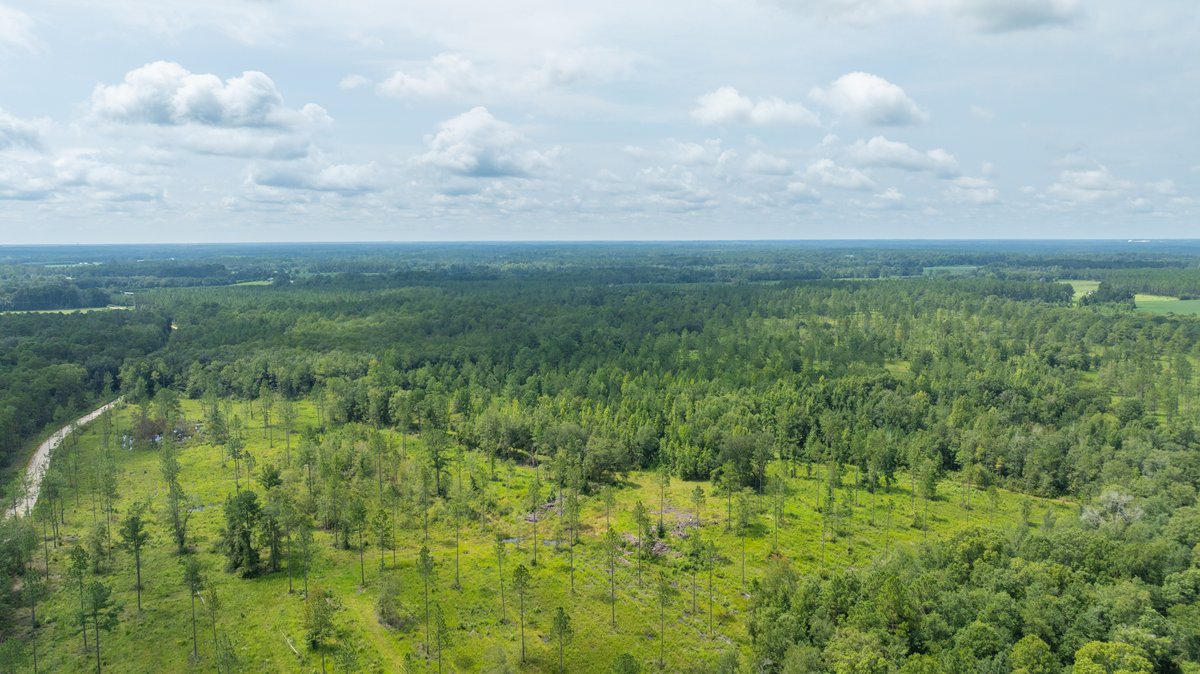 Image for 207+/- Acres in Lowndes County - Tremendous Development Potential