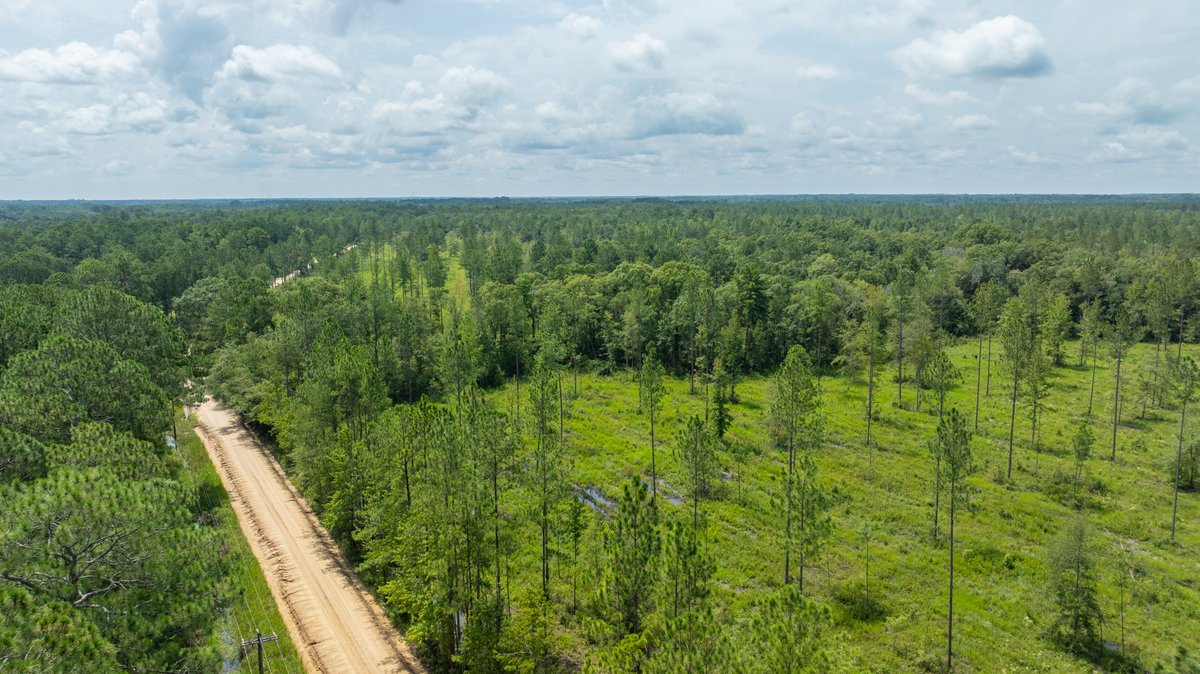 Image for 207+/- Acres in Lowndes County - Tremendous Development Potential