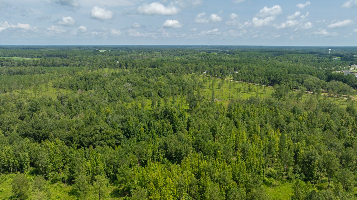 Image for 207+/- Acres in Lowndes County - Tremendous Development Potential