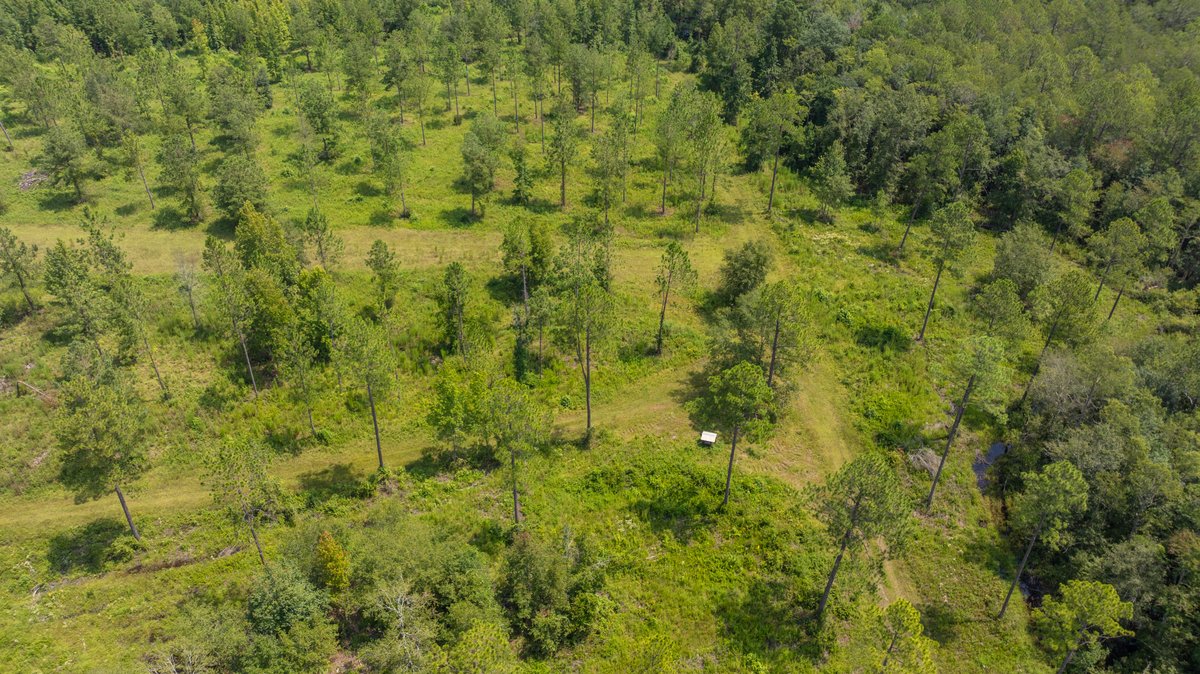 Image for 207+/- Acres in Lowndes County - Tremendous Development Potential