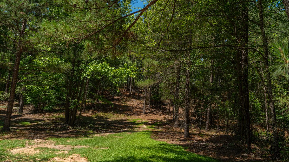 Image for Charming 25+/- Acre Estate in the Heart of Byron, Georgia