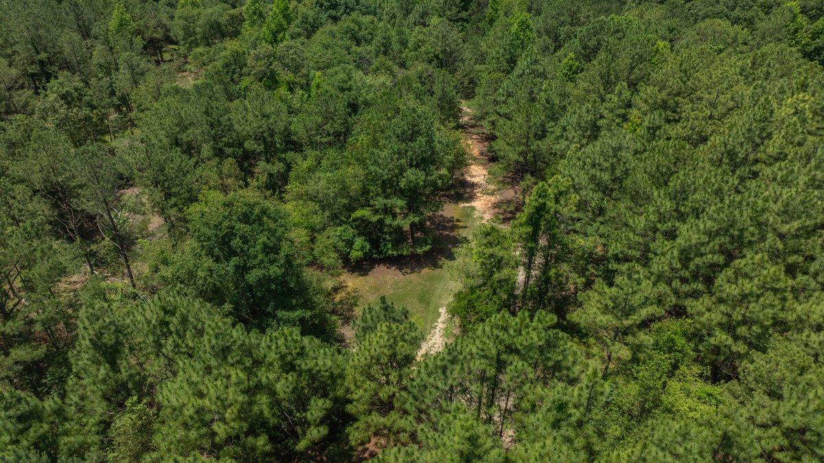 Image for Charming 25+/- Acre Estate in the Heart of Byron, Georgia