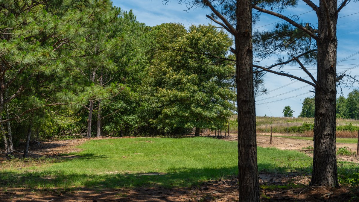 Image for Charming 25+/- Acre Estate in the Heart of Byron, Georgia