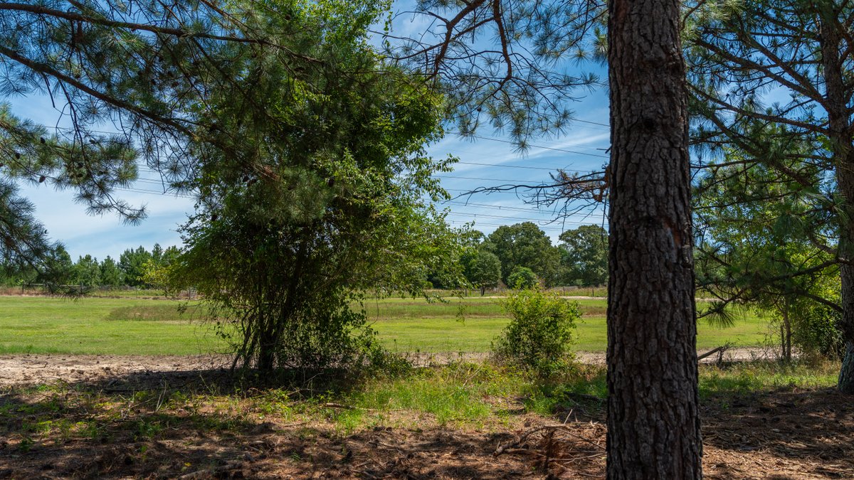 Image for Charming 25+/- Acre Estate in the Heart of Byron, Georgia