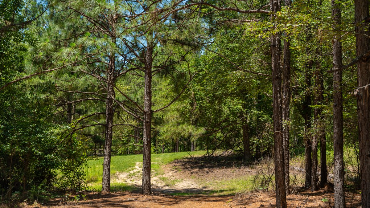Image for Charming 25+/- Acre Estate in the Heart of Byron, Georgia