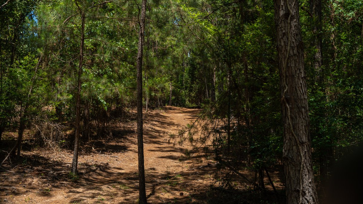 Image for Charming 25+/- Acre Estate in the Heart of Byron, Georgia