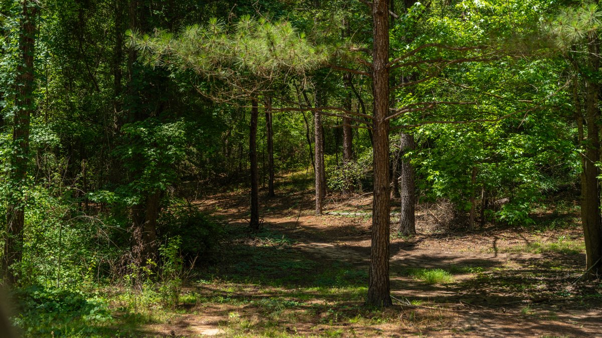 Image for Charming 25+/- Acre Estate in the Heart of Byron, Georgia