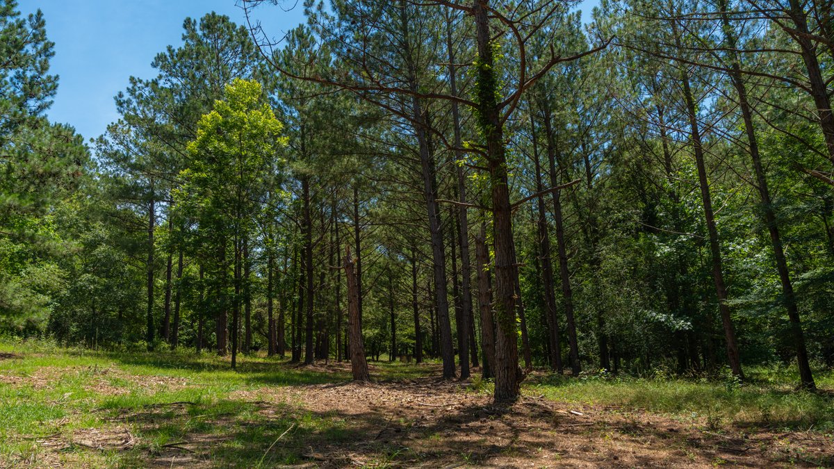 Image for Charming 25+/- Acre Estate in the Heart of Byron, Georgia