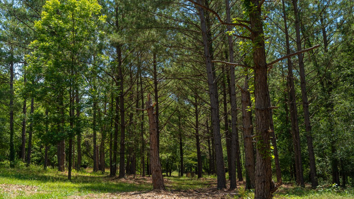 Image for Charming 25+/- Acre Estate in the Heart of Byron, Georgia