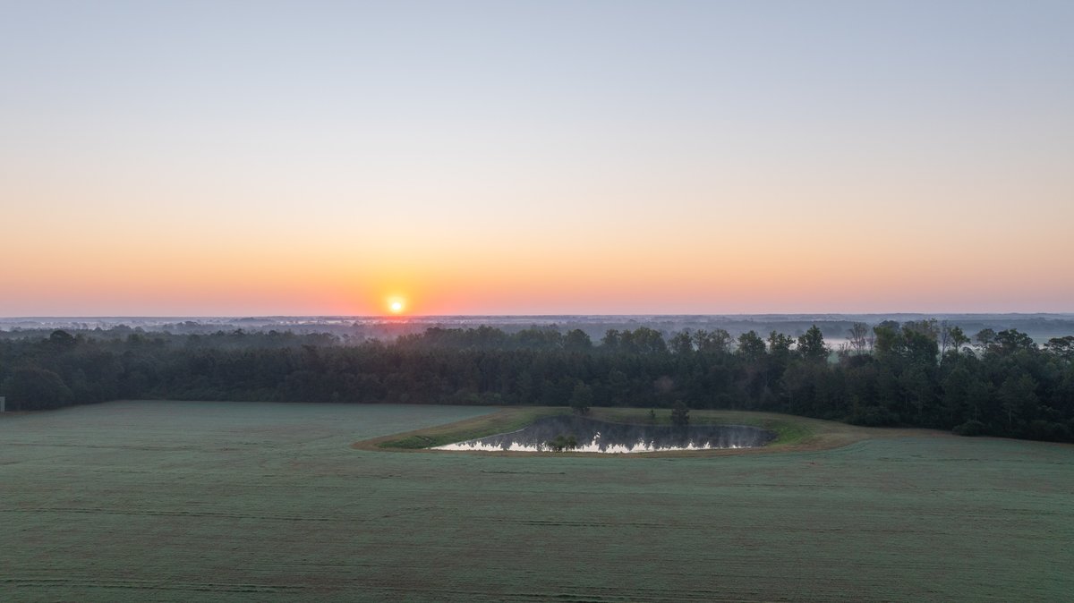 Image for The Massee Post Estate - 72+/- Acres with 6,700+/- Sq. Ft. Luxury Home in Cook County, Georgia