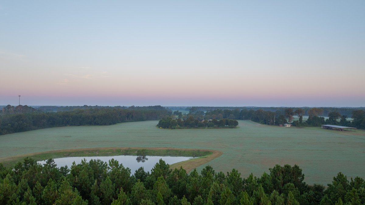 Image for The Massee Post Estate - 72+/- Acres with 6,700+/- Sq. Ft. Luxury Home in Cook County, Georgia