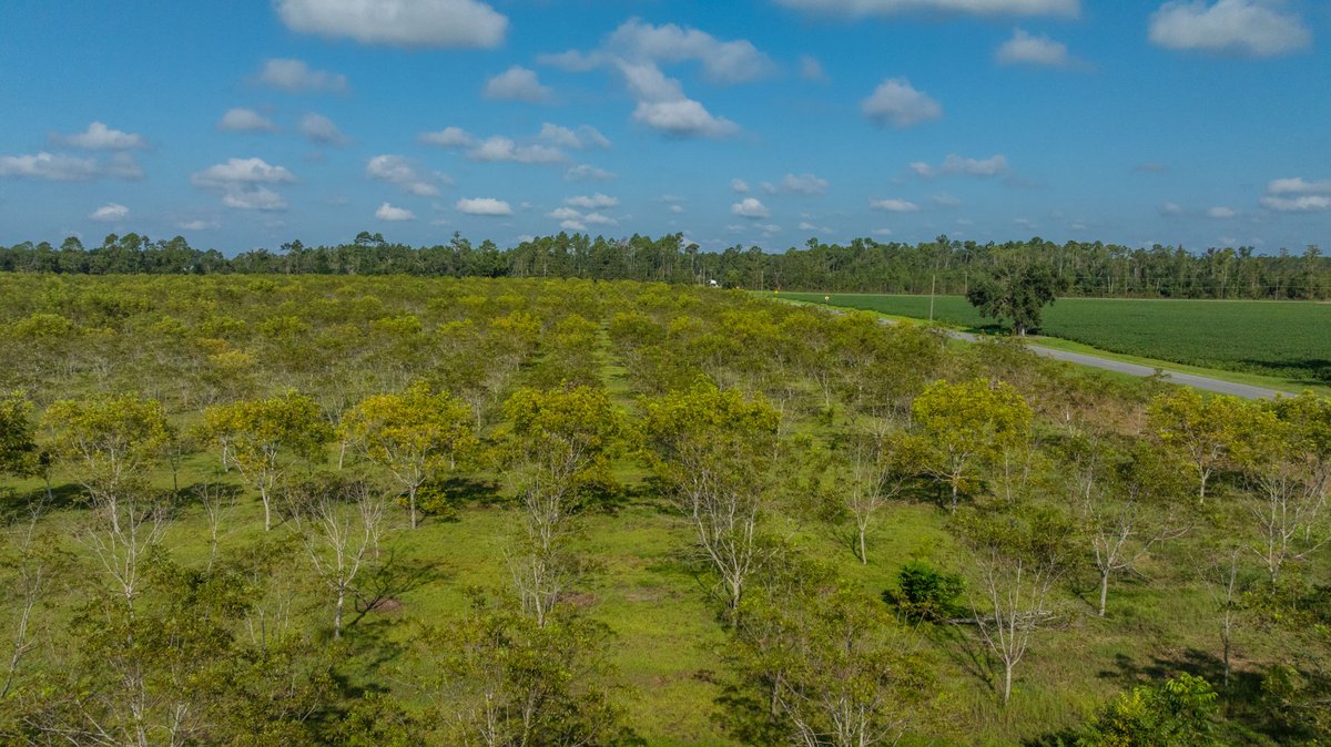 Image for 323± Acres - O’Brien Orchard - Prime Location with Future Growth Potential - Homesites & Investment Appeal - Irrigated Orchard & Cleaning Facility
