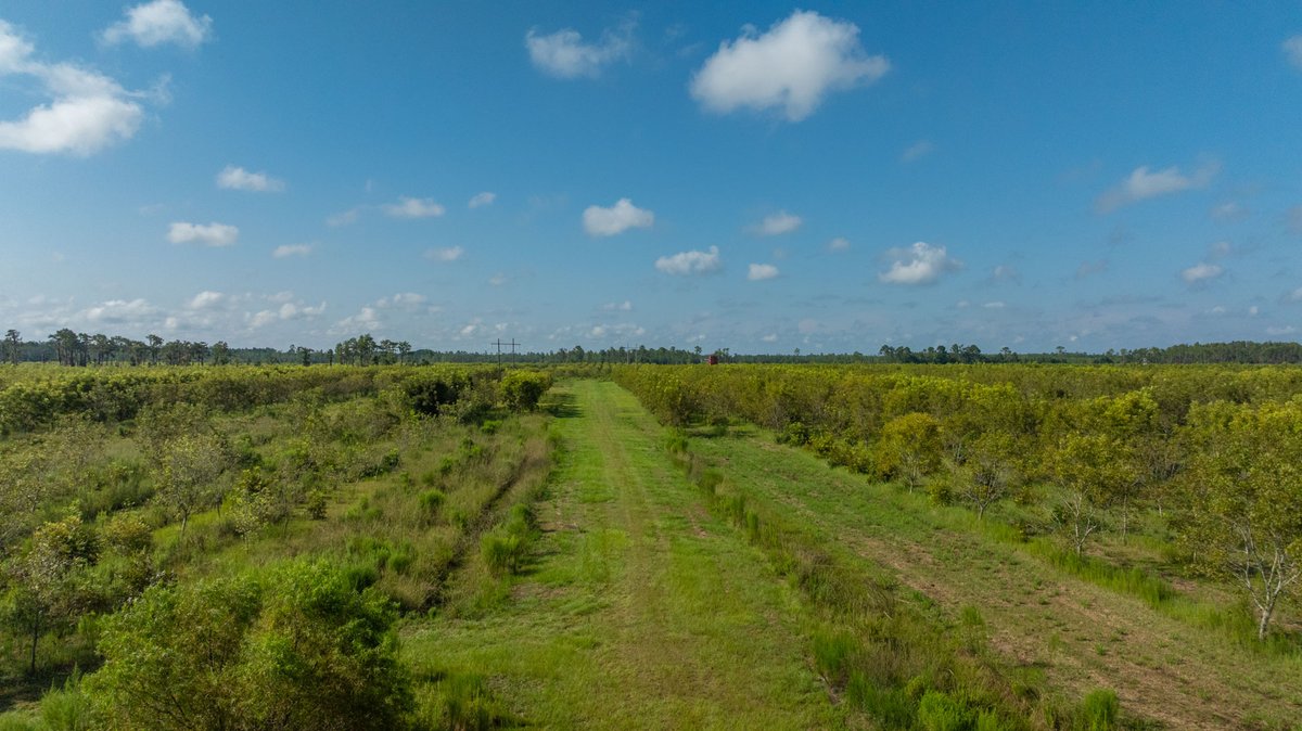 Image for 323± Acres - O’Brien Orchard - Prime Location with Future Growth Potential - Homesites & Investment Appeal - Irrigated Orchard & Cleaning Facility