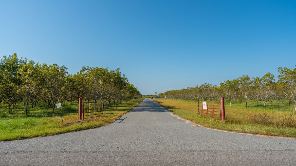 Image for 323± Acres - O’Brien Orchard - Prime Location with Future Growth Potential - Homesites & Investment Appeal - Irrigated Orchard & Cleaning Facility