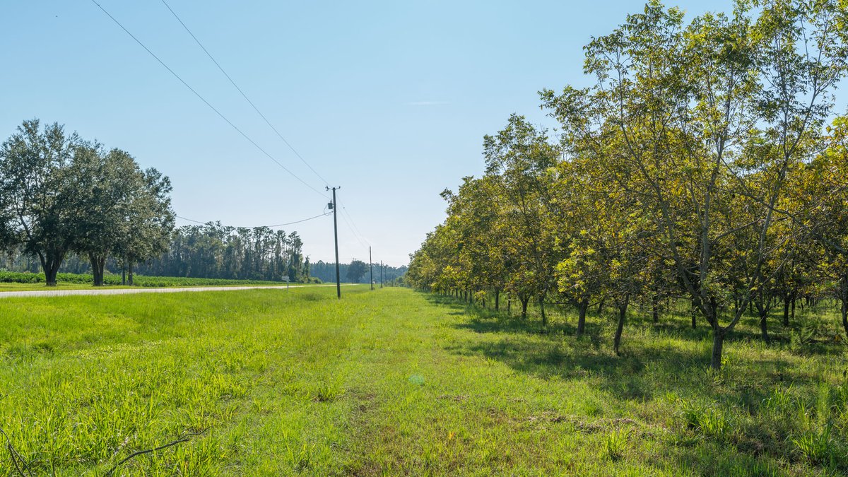Image for 323± Acres - O’Brien Orchard - Prime Location with Future Growth Potential - Homesites & Investment Appeal - Irrigated Orchard & Cleaning Facility