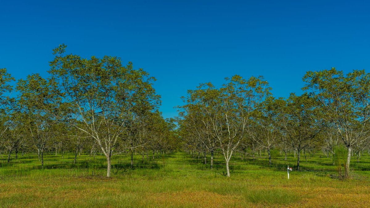Image for 323± Acres - O’Brien Orchard - Prime Location with Future Growth Potential - Homesites & Investment Appeal - Irrigated Orchard & Cleaning Facility