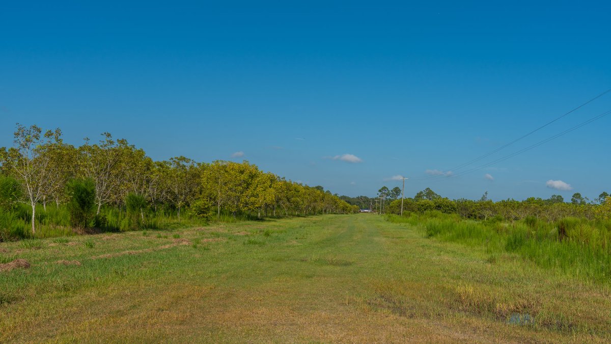 Image for 323± Acres - O’Brien Orchard - Prime Location with Future Growth Potential - Homesites & Investment Appeal - Irrigated Orchard & Cleaning Facility